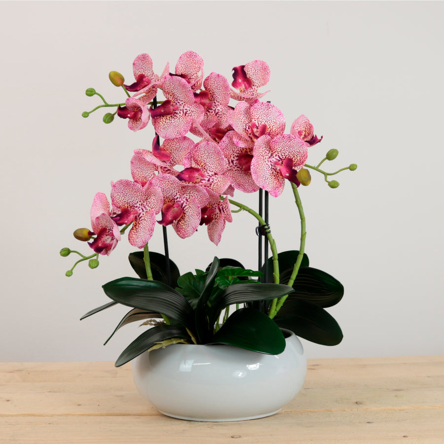 Luxury Faux Orchid Arrangement No:1
