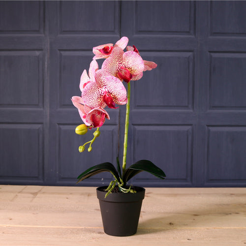 Deluxe Faux Orchid Arrangement Style 3