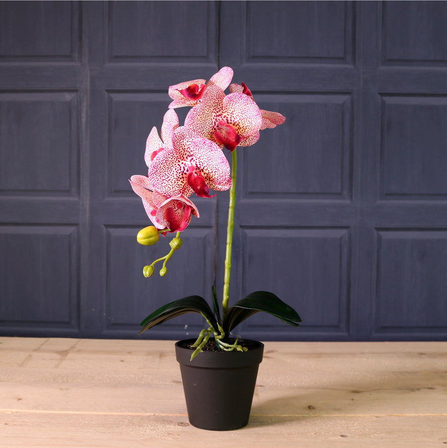 Deluxe Faux Orchid Arrangement Style 3