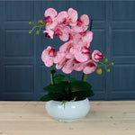 Timeless Orchid Arrangement