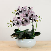Luxury Faux Orchid Arrangement No:1