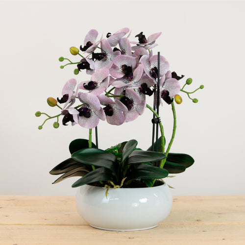 Luxury Faux Orchid Arrangement No:1