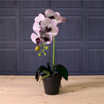 Deluxe Faux Orchid Arrangement Style 3