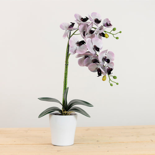 Elegant Faux Double Orchid Arrangement