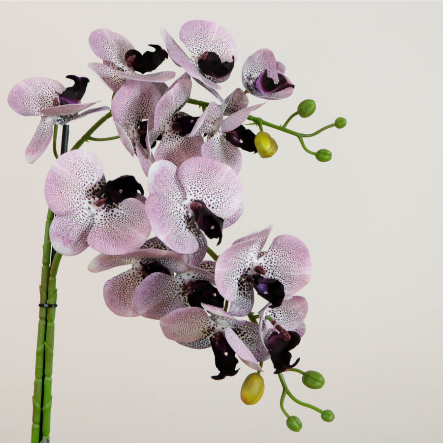 Elegant Faux Double Orchid Arrangement