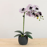 Elegant Faux Single Orchid Arrangement