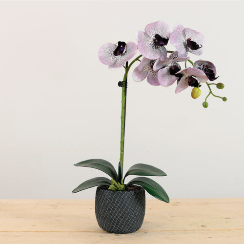 Elegant Faux Single Orchid Arrangement
