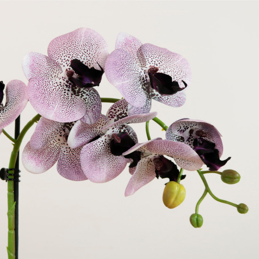 Elegant Faux Single Orchid Arrangement