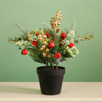 Xmas Potted Arr No.4