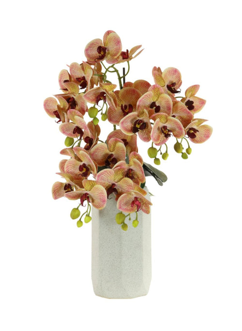 Phalaenopsis In Octagon Vase Arrangement