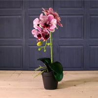 Deluxe Faux Orchid Arrangement Style 3
