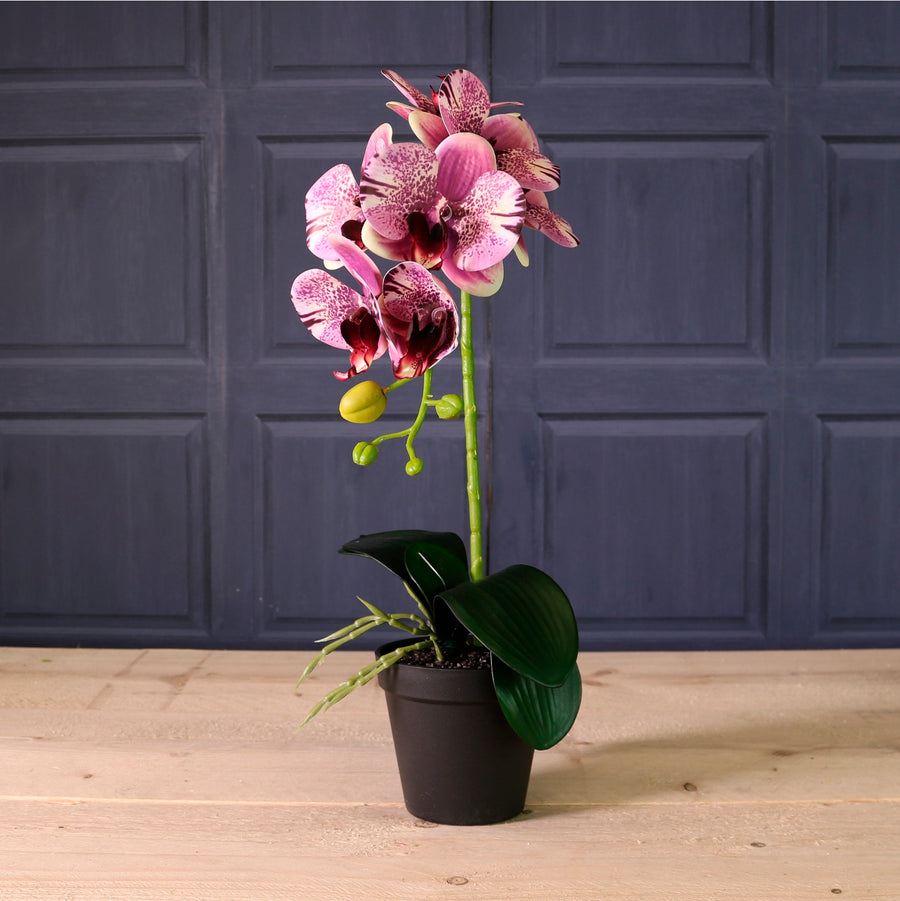 Deluxe Faux Orchid Arrangement Style 3