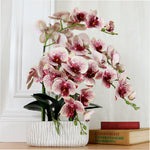 Phalaenopsis In Oblong Pot Arrangement