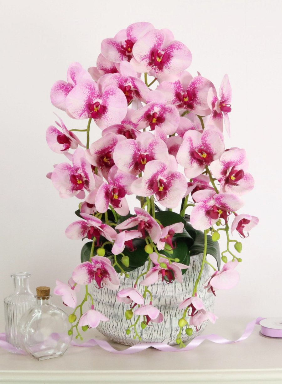 Phalaenopsis In Stone Pot Arrangement <br/>(large/6 Stems)
