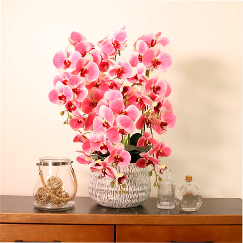 Phalaenopsis In Stone Pot Arrangement Pink Vein (large/6 Stems)
