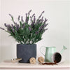Lavender In Lined Pot (large)