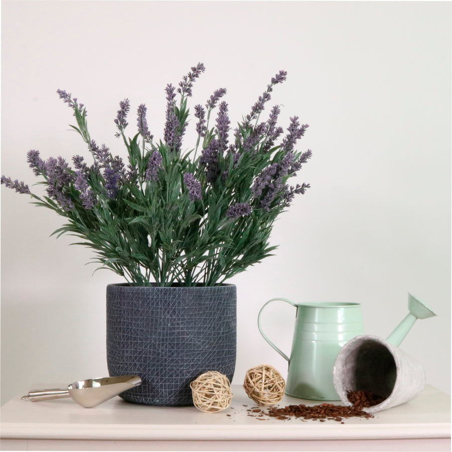 Lavender In Lined Pot (large)