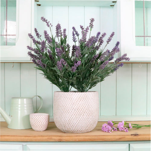 Lavender In Lined Pot (large)