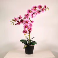 Deluxe Faux Orchid Arrangement No:1