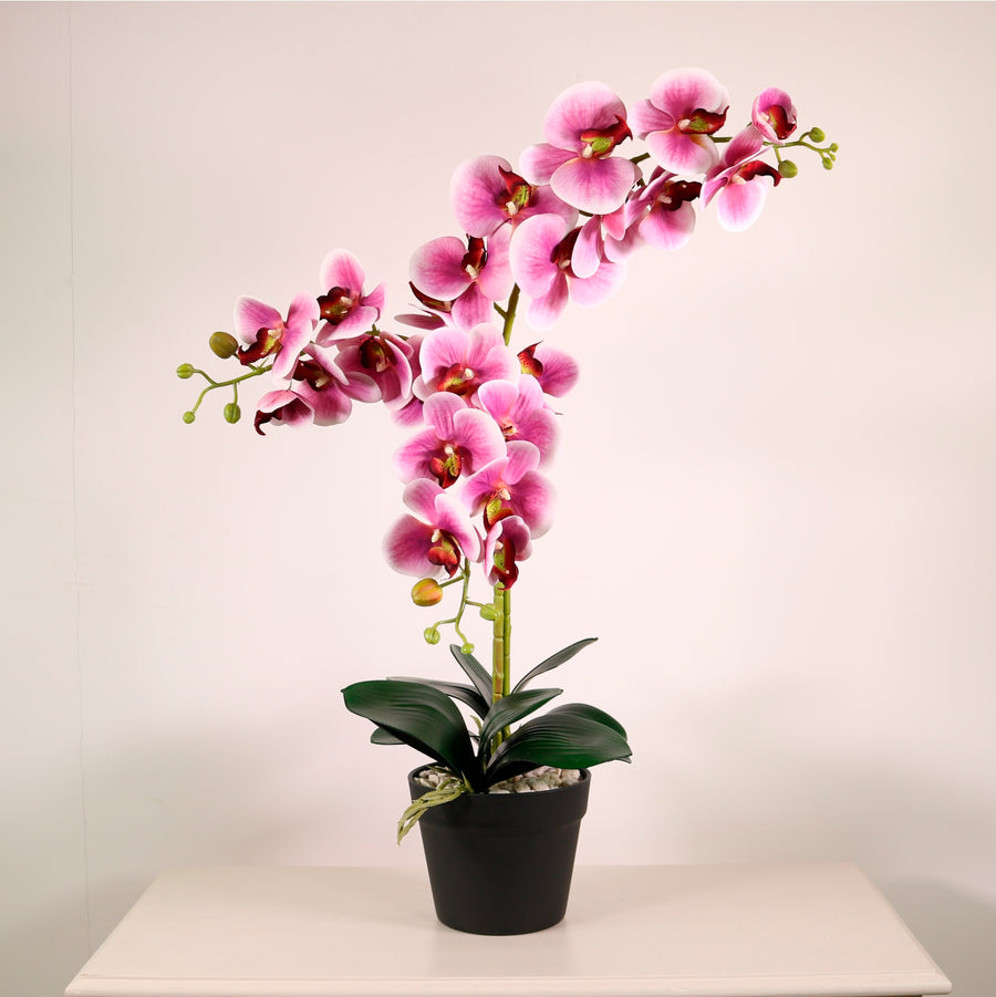 Deluxe Faux Orchid Arrangement No:1