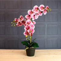 Deluxe Faux Orchid Arrangement No:1