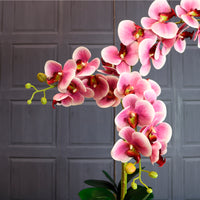 Deluxe Faux Orchid Arrangement No:1
