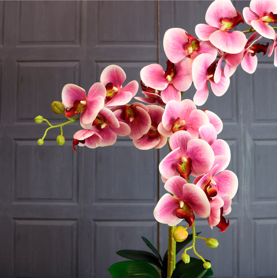 Deluxe Faux Orchid Arrangement No:1