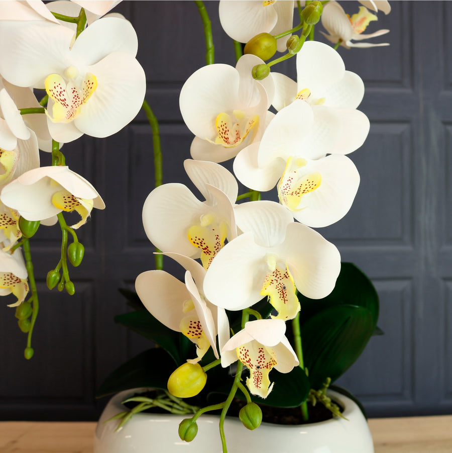 Lavish Faux Orchid Arrangement No:7