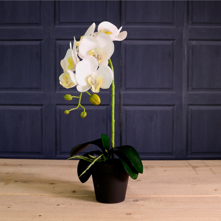 Deluxe Faux Orchid Arrangement Style 3