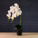 Deluxe Faux Orchid Arrangement Style 4