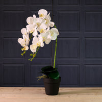 Deluxe Faux Orchid Arrangement Style 4