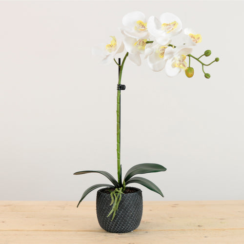 Elegant Faux Single Orchid Arrangement