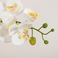 Elegant Faux Single Orchid Arrangement