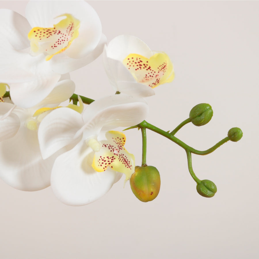Elegant Faux Single Orchid Arrangement