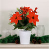 Xmas Arrangement No:203