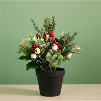 Xmas Potted Arr No.1