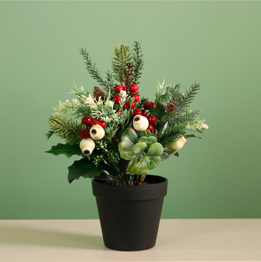 Xmas Potted Arr No.1