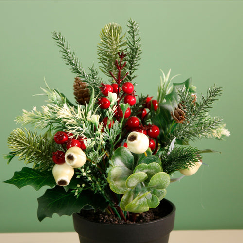 Xmas Potted Arr No.1