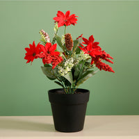 Xmas Potted Arr No.2