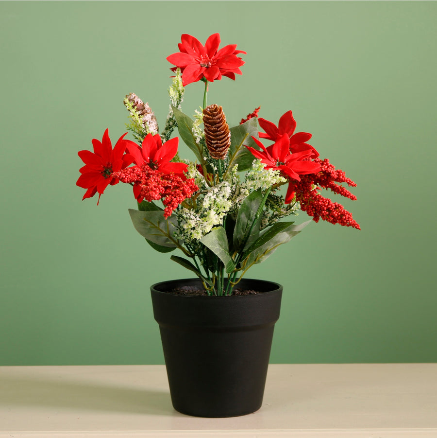 Xmas Potted Arr No.2