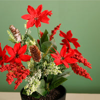 Xmas Potted Arr No.2