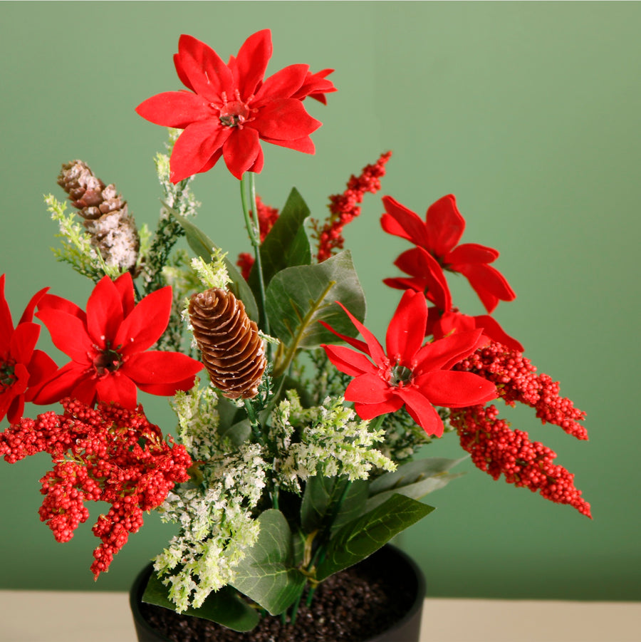 Xmas Potted Arr No.2