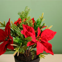 Xmas Potted Arr No.3