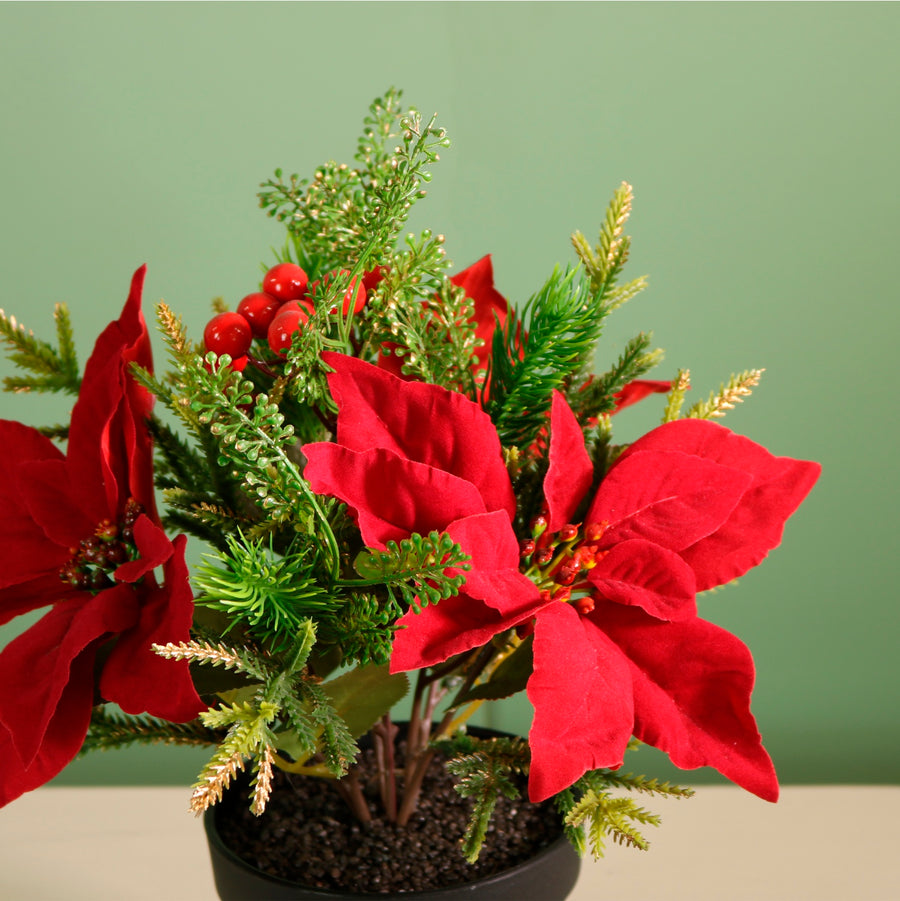 Xmas Potted Arr No.3