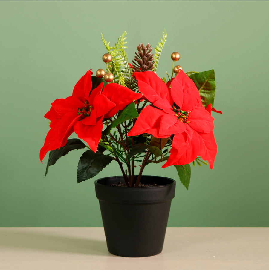 Xmas Potted Arr No.5