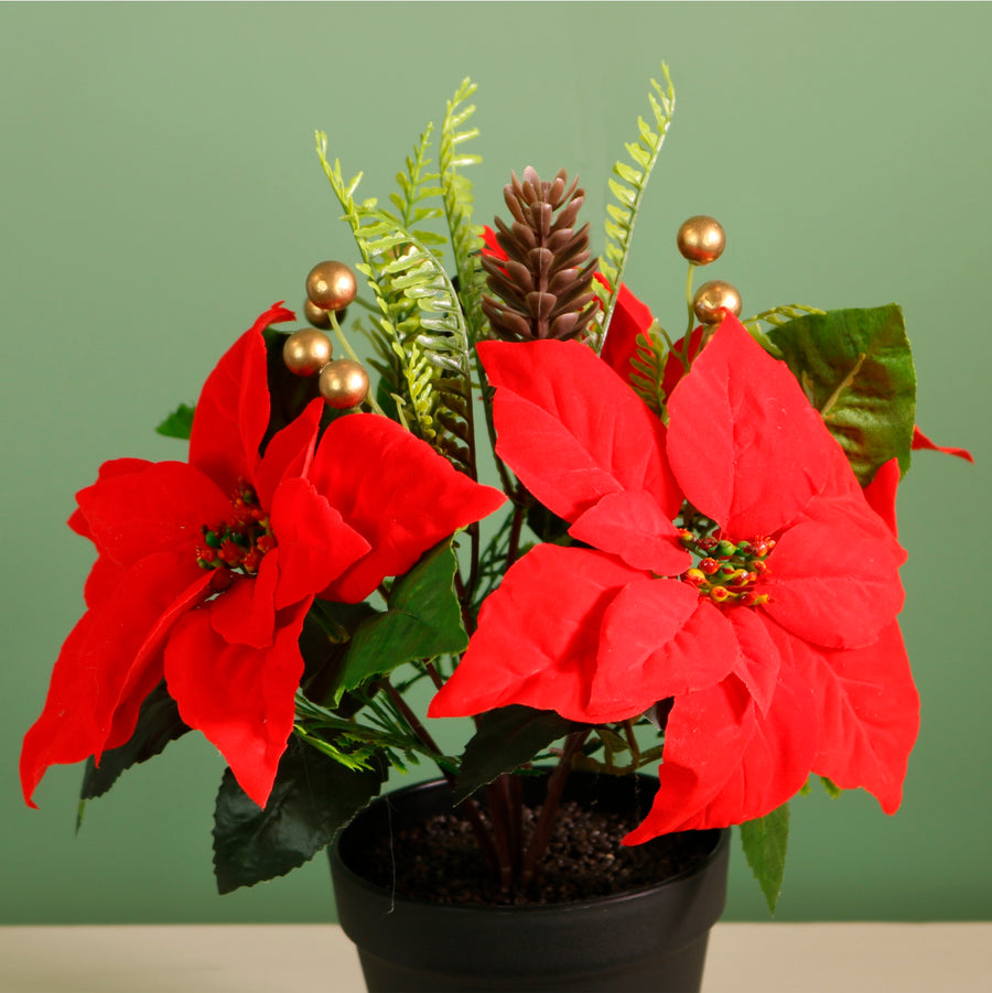 Xmas Potted Arr No.5