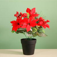 Xmas Potted Arr No.6