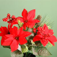 Xmas Potted Arr No.6