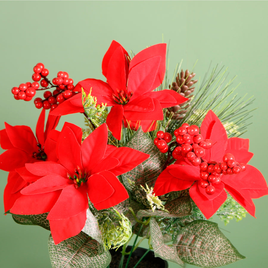 Xmas Potted Arr No.6