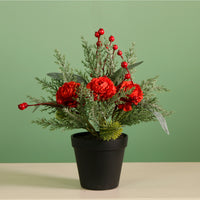 Xmas Potted Arr No.8